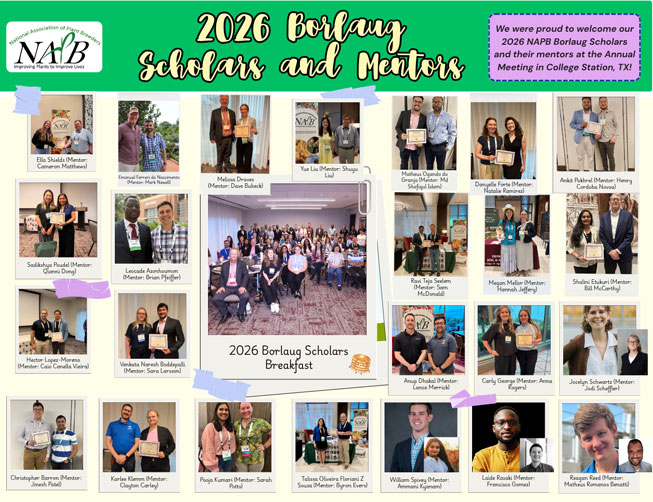 2026 Borlaug Scholars and Mentors